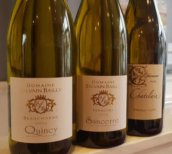 Loire Discovery Case