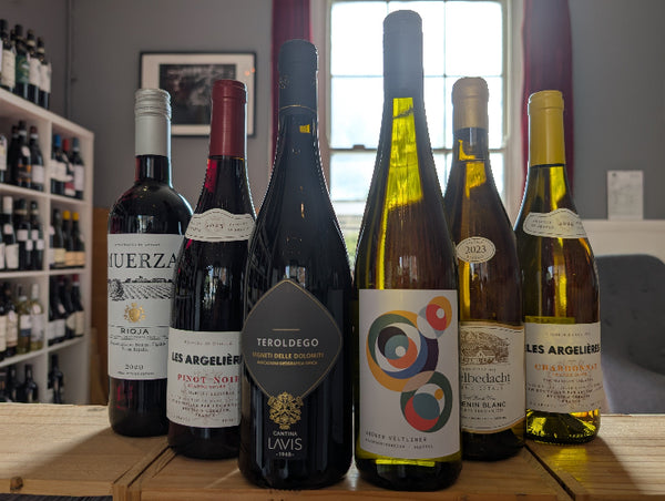 Autumn Mixed Case